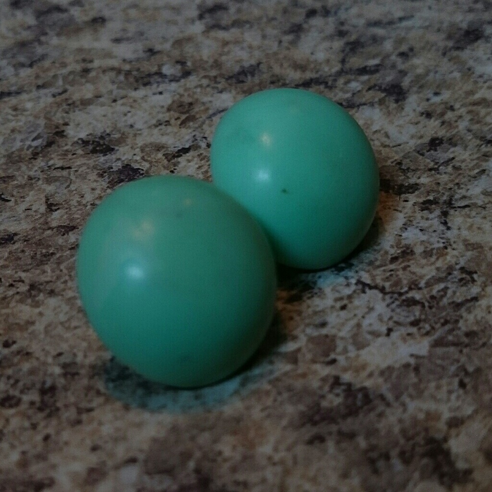 Robin Egg Earrings